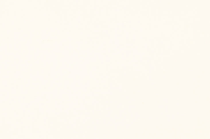Basic Cotton F310