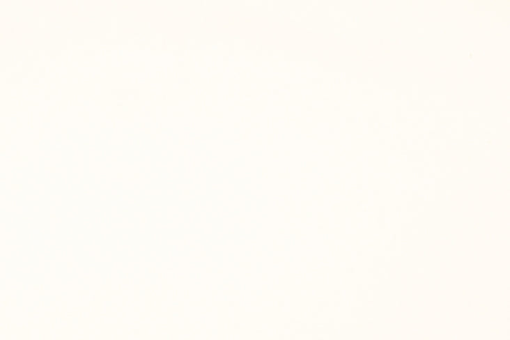 Basic Cotton F310